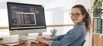 Image of the Head of the Development Team